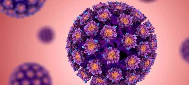 HPV - Ιός των Ανθρώπινων Θηλωμάτων