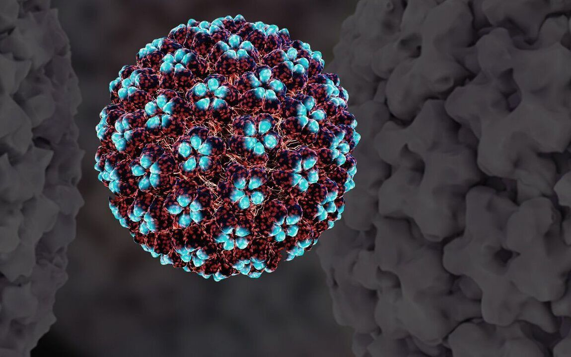 Τρισδιάστατο μοντέλο HPV